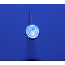 Colchian silver coin, Hemidrachma, animal head